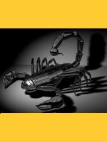 Image de scorpions