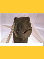 Image de Raptorius