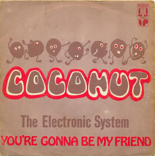 The Electronic System - Coconut