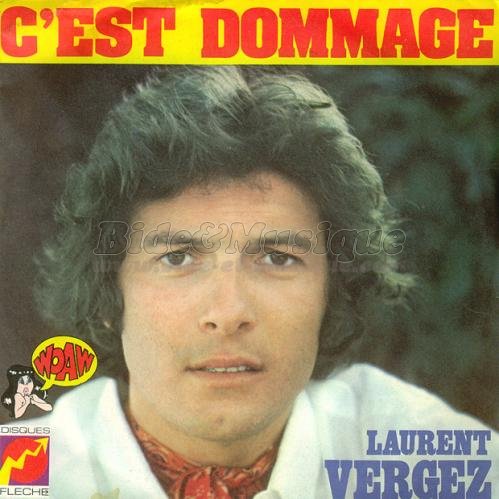 Laurent Vergez - C%27est dommage