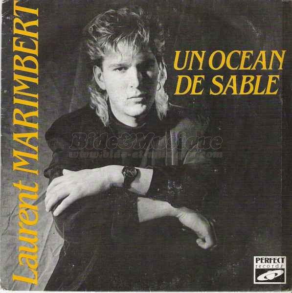 Laurent Marimbert - Un ocan de sable