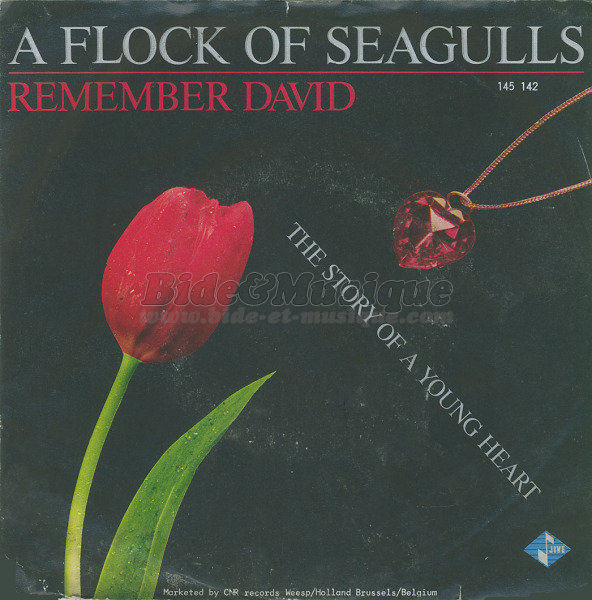 A Flock of Seagulls - 80%27