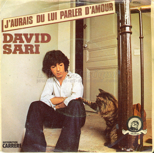 David Sari - J'aurais d� lui parler d'amour