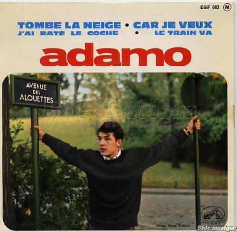 Adamo - Tombe la neige