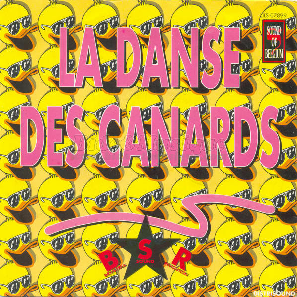 Brussels Sound Revolution - La danse des canards