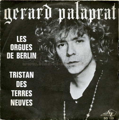 G%E9rard Palaprat - Les orgues de Berlin