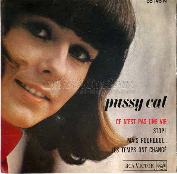 Pussy Cat - Chez les y-y