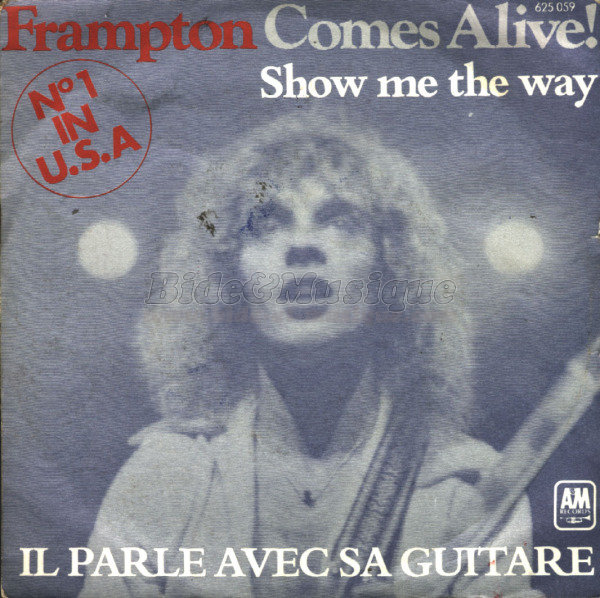 Souviens-toi un t - N12 (1976 - Peter Frampton : Show me the way) [rediffusion]