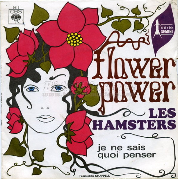Les Hamsters - Flower power