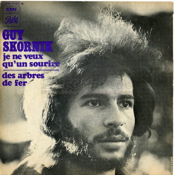 Guy Skornik - Des arbres de fer