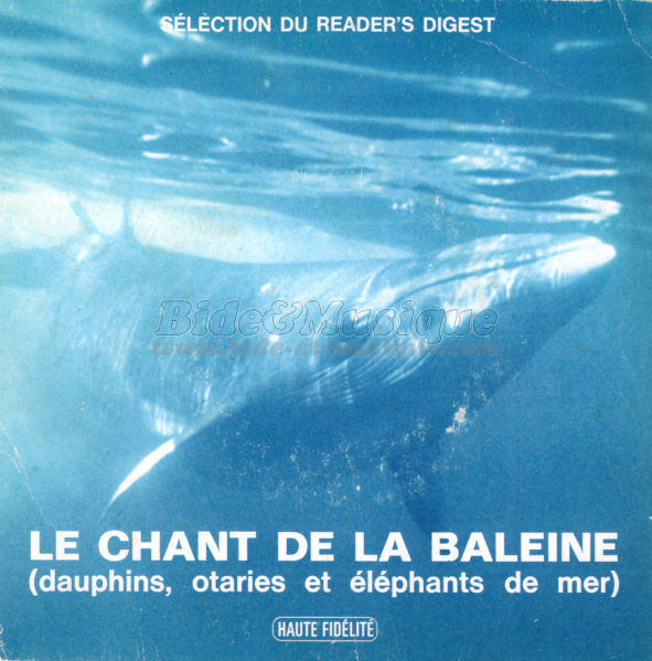Le chant de la baleine - Le dauphin%2C l%27%E9l%E9phant de mer et l%27otarie
