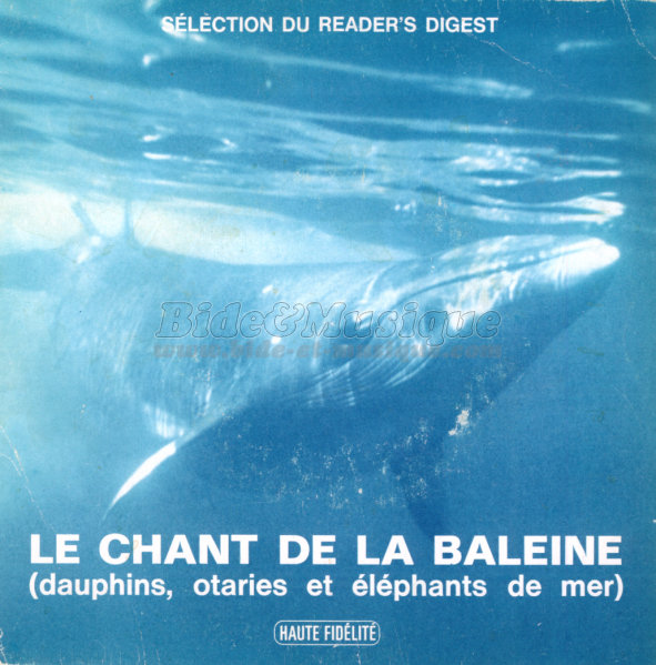 chant de la baleine, Le - bides parls, Les