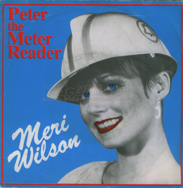 Meri Wilson - Peter the meter reader