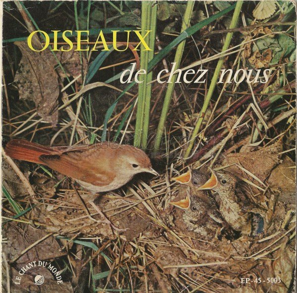 Oiseaux de chez nous - Face A