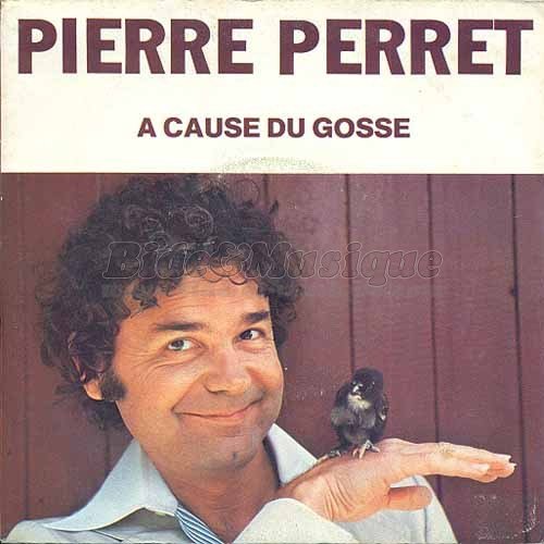 Pierre Perret - %C0 cause du gosse