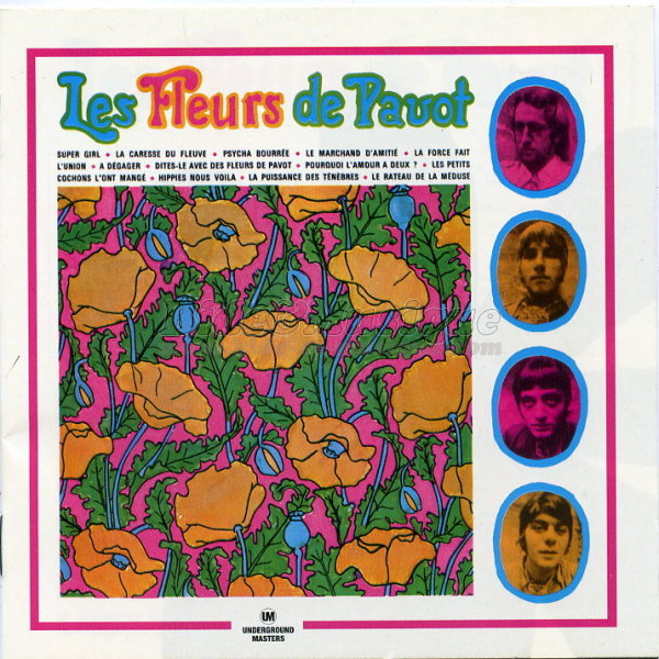 fleurs de pavot, Les - Psych'n'pop