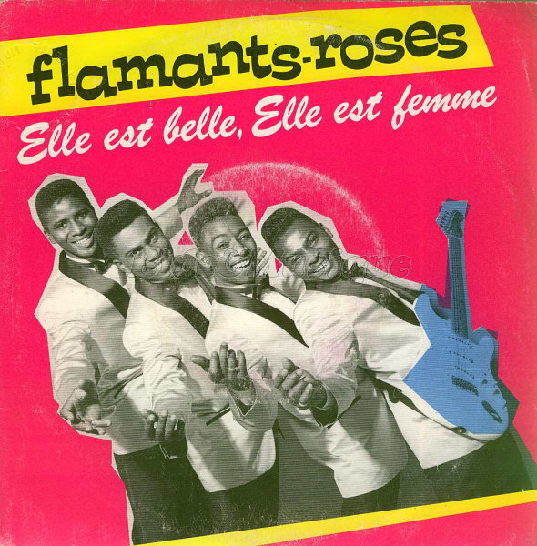 Les Flamants Roses - Les filles du rock %27n%27 roll