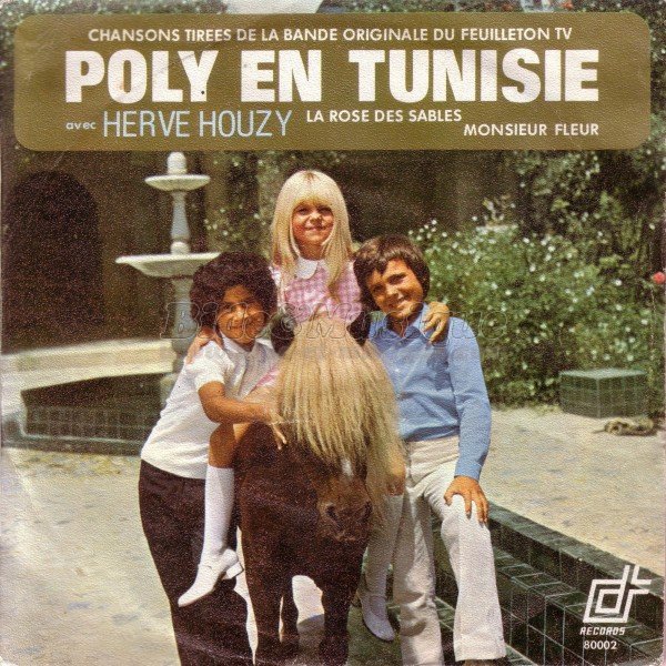 Herv Houzy - La rose des sables