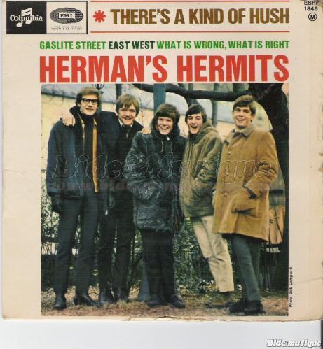Herman%27s Hermits - There%27s a kind of hush
