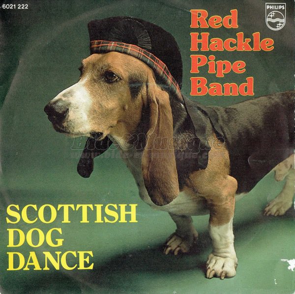 Red Hackle pipe band - Bidochiens, Les