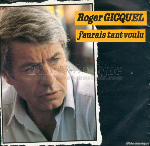Roger Gicquel - J'aurais tant voulu