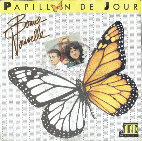 Bonne nouvelle - Papillon de jour