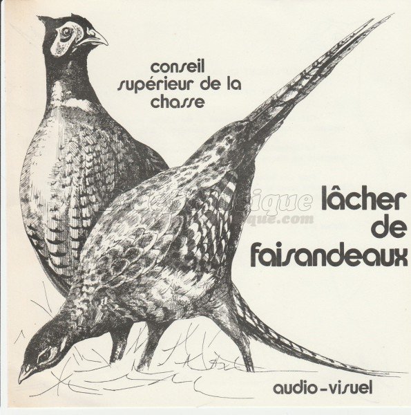 Conseil suprieur de la chasse - Lcher de faisandeaux (Face A)