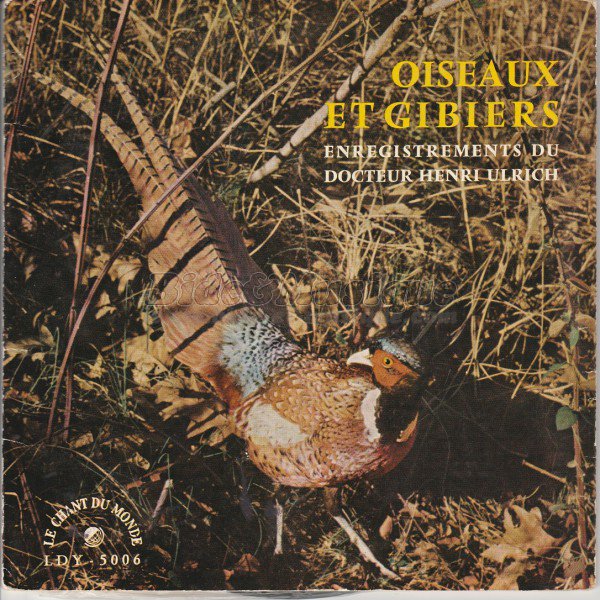 Oiseaux et gibiers - bidoiseaux, Les