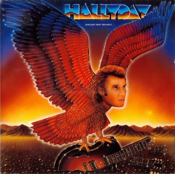 Johnny Hallyday - Bide in America