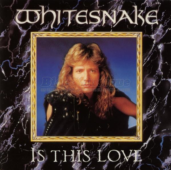 Whitesnake - C'est l'heure d'emballer sur B&M