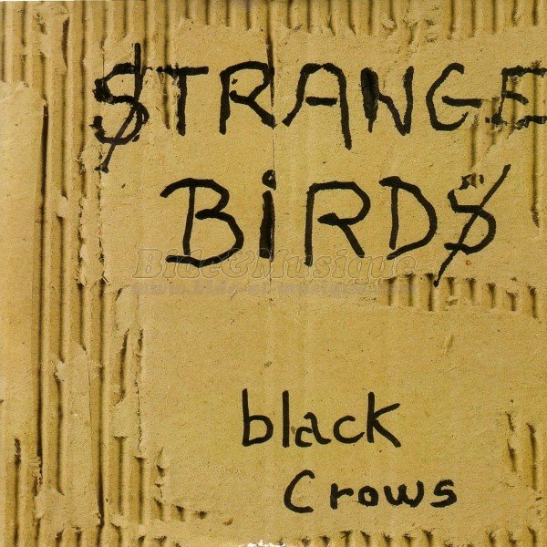Black Crows - Strange birds