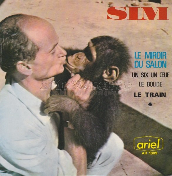 Sim - Le miroir du salon