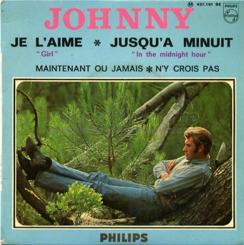 Johnny Hallyday - Je l'aime