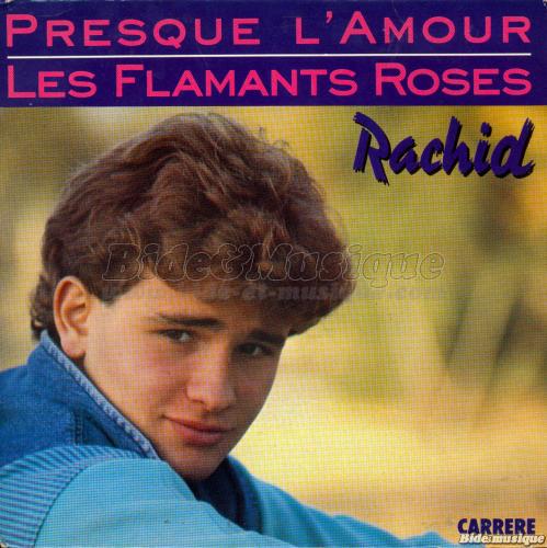 Rachid - Les flamants roses