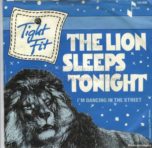 Tight Fit - The lion sleeps tonight