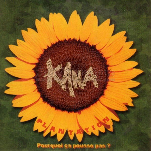 Kana - Plantation