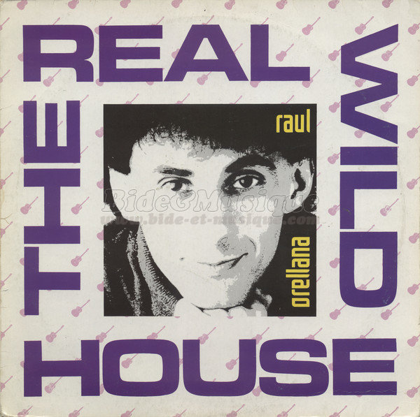 Raul Orellana - The real wild house
