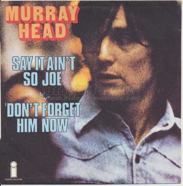 Murray Head - Say it ain't so Joe