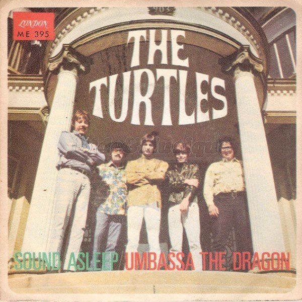 The Turtles - D%E9lire