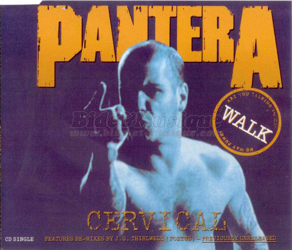 Pantera - Walk