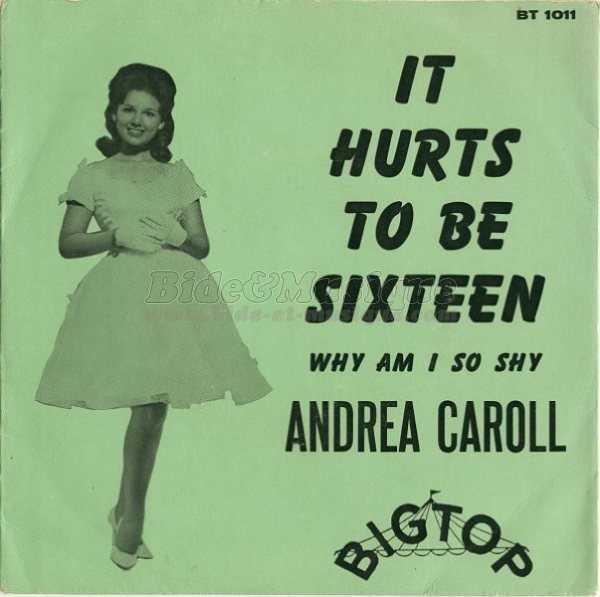 Andrea Carroll - It hurts to be sixteen
