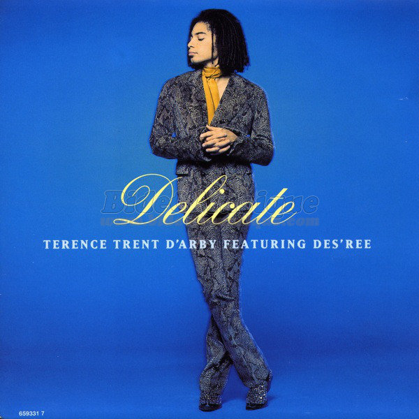 Terence Trent d'Arby featuring Des'ree - Delicate