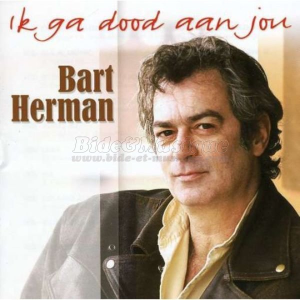 Bart Herman - Bide en muziek