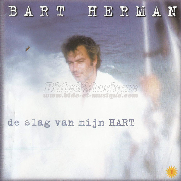 Bart Herman - Bide en muziek