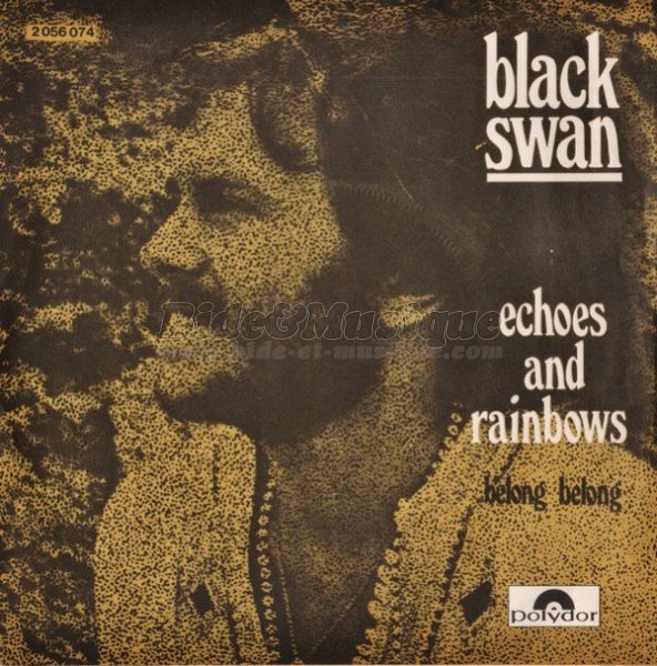 Black Swann - Echoes and rainbows