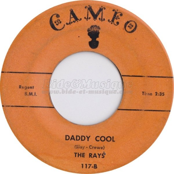 The Rays - Daddy cool