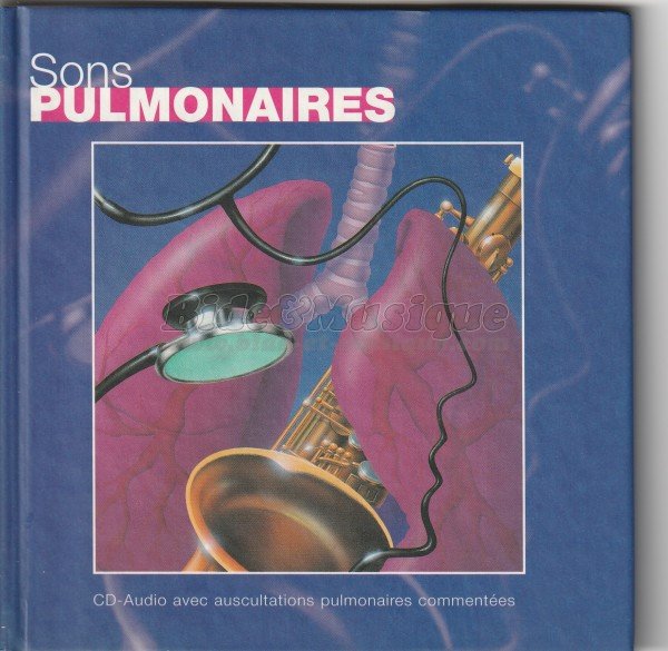 Sons pulmonaires - Sibilances et rhonchi inspiratoires et expiratoires