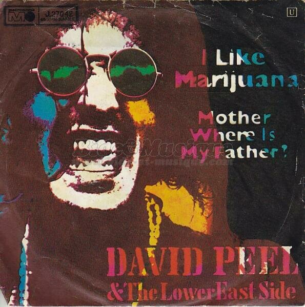 David Peel & the Lower East Side - drogue c'est du Bide, La