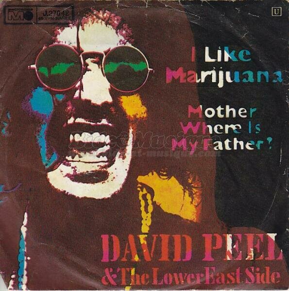 David Peel & the Lower East Side - I like marijuana