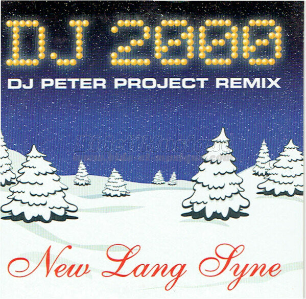 Dj Peter Project - New lang syne